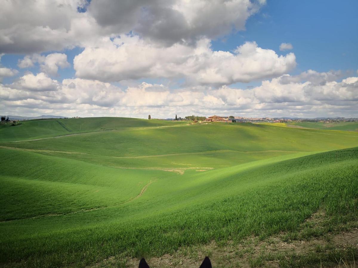 Dago Farmhouse Siena Exteriér fotografie