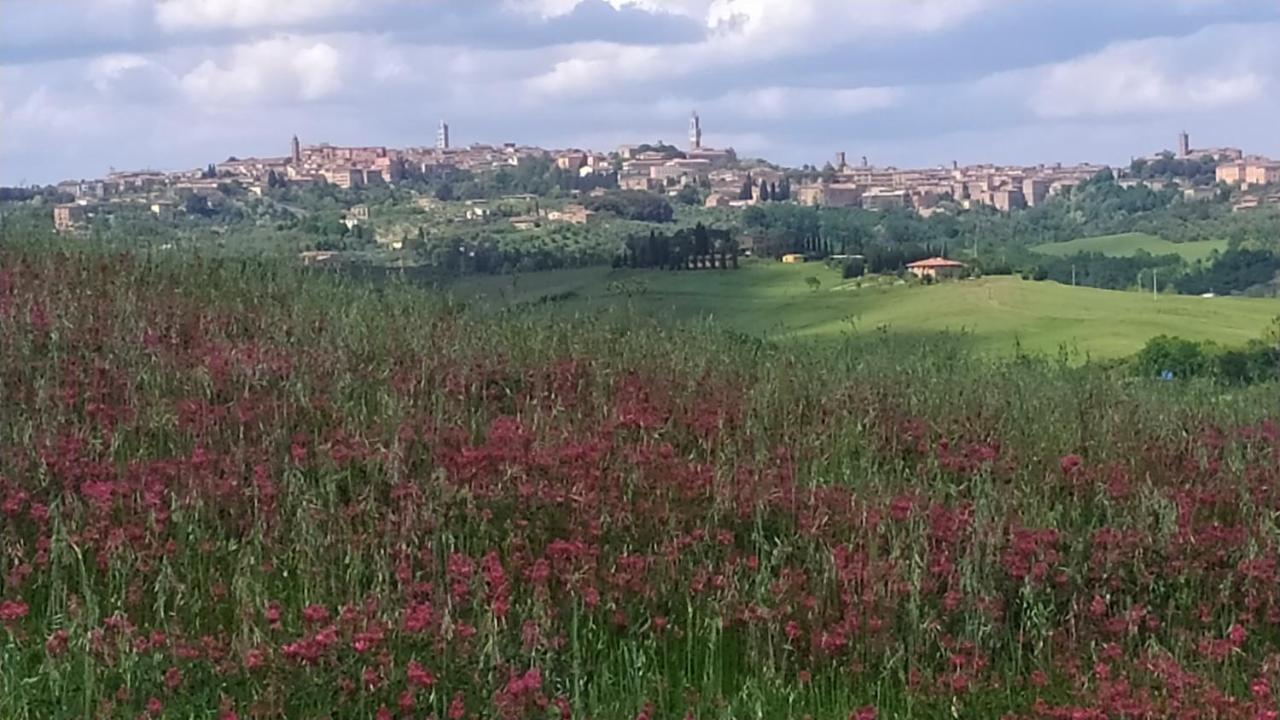 Dago Farmhouse Siena Exteriér fotografie