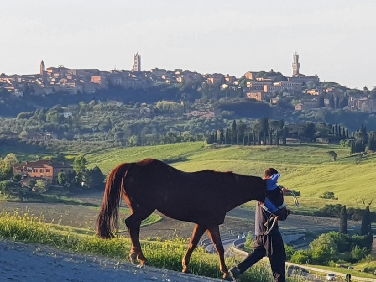 Dago Farmhouse Siena Exteriér fotografie